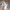 Under Armour Casual Short Pria gray photo 6