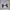 Under Armour Casual Short Pria gray photo 3