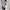 Casual Bodycon dress Wanita white photo 2