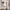 Casual Bodycon dress Wanita white photo 1