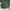 et cetera Casual Casual trouser Wanita green photo 3