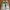 New Balance Streetwear Sportswear Sneakers Pria white green photo 3