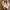 New Balance Streetwear Sportswear Sneakers Pria white green photo 2