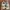Nike Vintage Streetwear Sneakers Pria gold photo 5