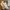 Nike Vintage Streetwear Sneakers Pria gold photo 2