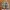 New Balance Sportswear Sneakers Pria tan gray photo 5