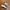 Nike Vintage Streetwear Sneakers Pria tan brown photo 1