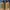Timberland Streetwear Y2K Boots Pria brown photo 3