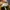 Timberland Streetwear Y2K Boots Pria brown photo 6
