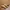 Timberland Streetwear Y2K Boots Pria brown photo 1