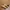 Timberland Streetwear Y2K Boots Pria Brown