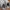 New Balance Streetwear Sportswear Sneakers Pria white gray photo 5