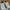 New Balance Streetwear Sportswear Sneakers Pria white gray photo 4