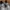 New Balance Streetwear Sportswear Sneakers Pria white blue photo 3