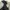 Dickies Vintage Streetwear Harrington jacket Pria khaki photo 2