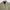 Dickies Vintage Streetwear Harrington jacket Pria khaki photo 4