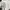 Adidas Streetwear Luxury T-shirt Pria white black photo 4
