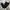 Arnold Palmer Casual Formal pants Pria black photo 1