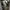 ZARA Casual Jeans Pria white photo 3
