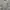 Pancoat Coquette Casual Sweatshirt Pria gray photo 1