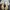 Charles and Keith Casual Heels Wanita cream photo 4