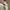 GENTLEWOMAN Casual Shoulder bag Wanita white photo 3