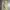 Japanese brand Streetwear Casual Formal pants Pria tan photo 8