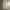 Japanese brand Streetwear Casual Formal pants Pria tan photo 7