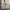 Japanese brand Streetwear Casual Formal pants Pria tan photo 4