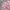 Lee Casual Shirt Wanita multicolor pink photo 2