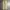 Uniqlo Streetwear Casual Casual pants Pria tan cream photo 6