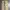 Uniqlo Streetwear Casual Casual pants Pria tan cream photo 7