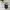 Kangol Streetwear Bag Pria black photo 1