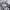 Polo Ralph Lauren Minimalist Polo shirt Pria white black photo 2