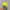 Kangol Y2K Lolita Hat Wanita yellow photo 3