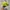 Kangol Y2K Lolita Hat Wanita yellow photo 1