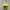 Kangol Y2K Lolita Hat Wanita Yellow