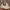 Adidas Casual Sneakers Pria white photo 2