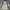 Beverly Hills Polo Club Vintage Casual Track jacket Pria white cream photo 2