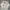 Beverly Hills Polo Club Vintage Casual Track jacket Pria white cream photo 1