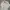 Beverly Hills Polo Club Vintage Casual Track Jacket Pria White Cream