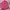 Stradivarius Casual Shirt Wanita pink photo 1