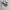 Streetwear Sportswear Jersey Pria white black photo 1