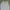 Carhartt Vintage Y2K Windbreaker Pria gray photo 2