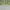 Carhartt Vintage Y2K Windbreaker Pria gray photo 3