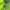 Carhartt Streetwear Casual T-shirt Pria green photo 3