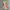 Japanese brand Streetwear Y2K Cami top Wanita multicolor photo 1