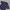 Polo Ralph Lauren Streetwear Minimalist Polo Shirt Pria Gray