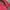 Gorpcore Sportswear Puffer jacket Pria red black photo 4