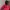 Gorpcore Sportswear Puffer jacket Pria red black photo 2